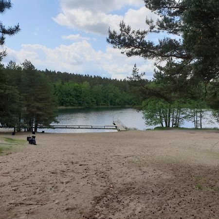 Apartament Pod Sosnami 1 Noclegi Otw Borowno Wlk Skarszewy Eksteriør billede
