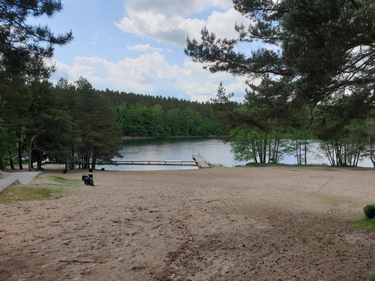 Apartament Pod Sosnami 1 Noclegi Otw Borowno Wlk Skarszewy Eksteriør billede